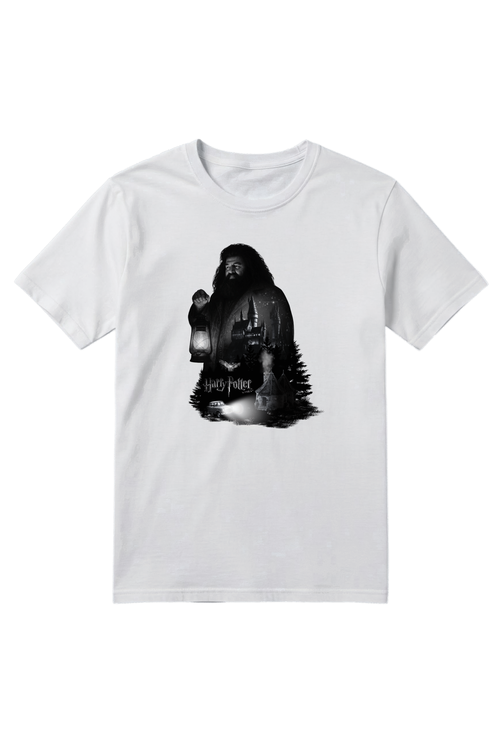Camiseta Masculina A Magia Começa Aqui - Harry Potter - Imagem 4